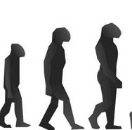 evolucion.jpg